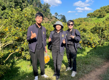 เข้าร่วมการประชุมเชื่อมโยงเจรจาซื้อขาย ส้มเขียวหวาน ... พารามิเตอร์รูปภาพ 9